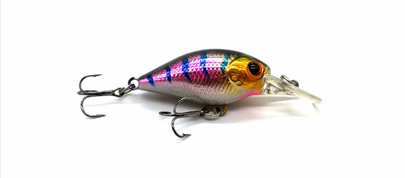 Trick-Fish Wobbler by Paladin – Little Fighter Ranbow