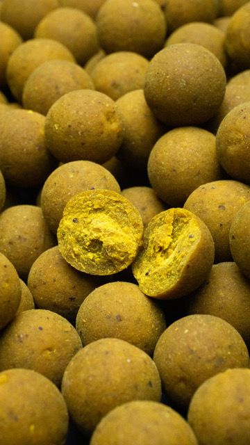 Carp Royal Deluxe Line Boilies Indian Gold