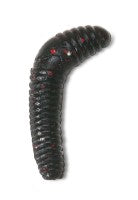 Iron Trout T-Worm | 25 Stk. | versch. Farben