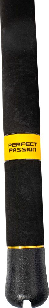Black Cat Perfect Passion XH-S 600 3.00m / Wallerrute